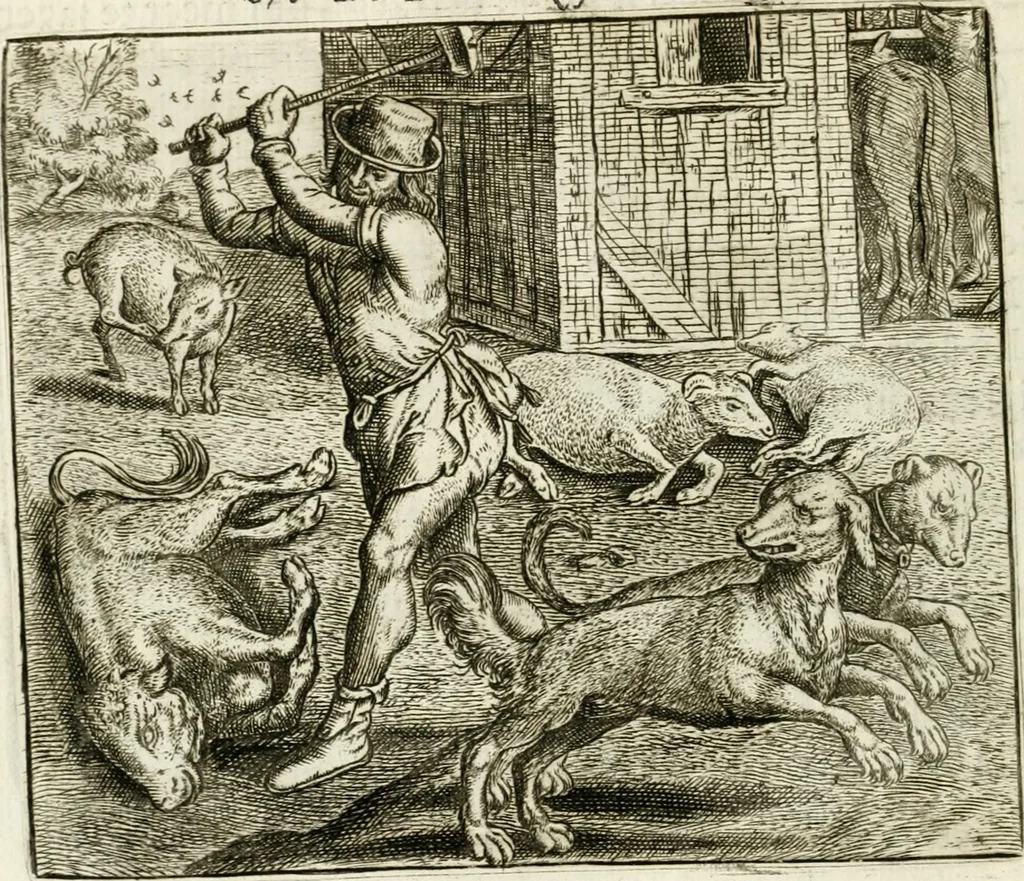 An illustration from Vorstelijcke warande der dieren : waer in de zeden-rijcke philosophie, poëtisch, morael, en historiael, vermakelijck en treffelijck wort voorgestelt : mit exempelen uyt de oude historien, in prose : ende uytleggingen, in rijm verklaert, 1682, leaf 187