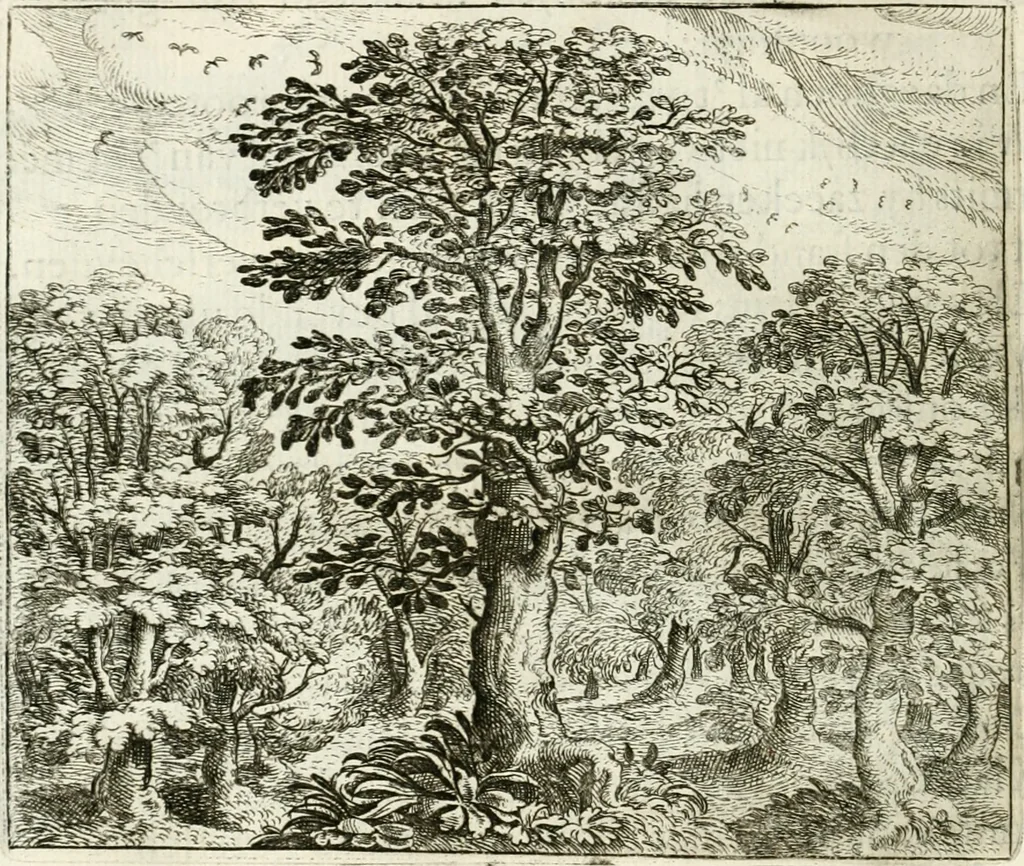 An illustration from Vorstelijcke warande der dieren : waer in de zeden-rijcke philosophie, poëtisch, morael, en historiael, vermakelijck en treffelijck wort voorgestelt : mit exempelen uyt de oude historien, in prose : ende uytleggingen, in rijm verklaert, 1682, leaf 19