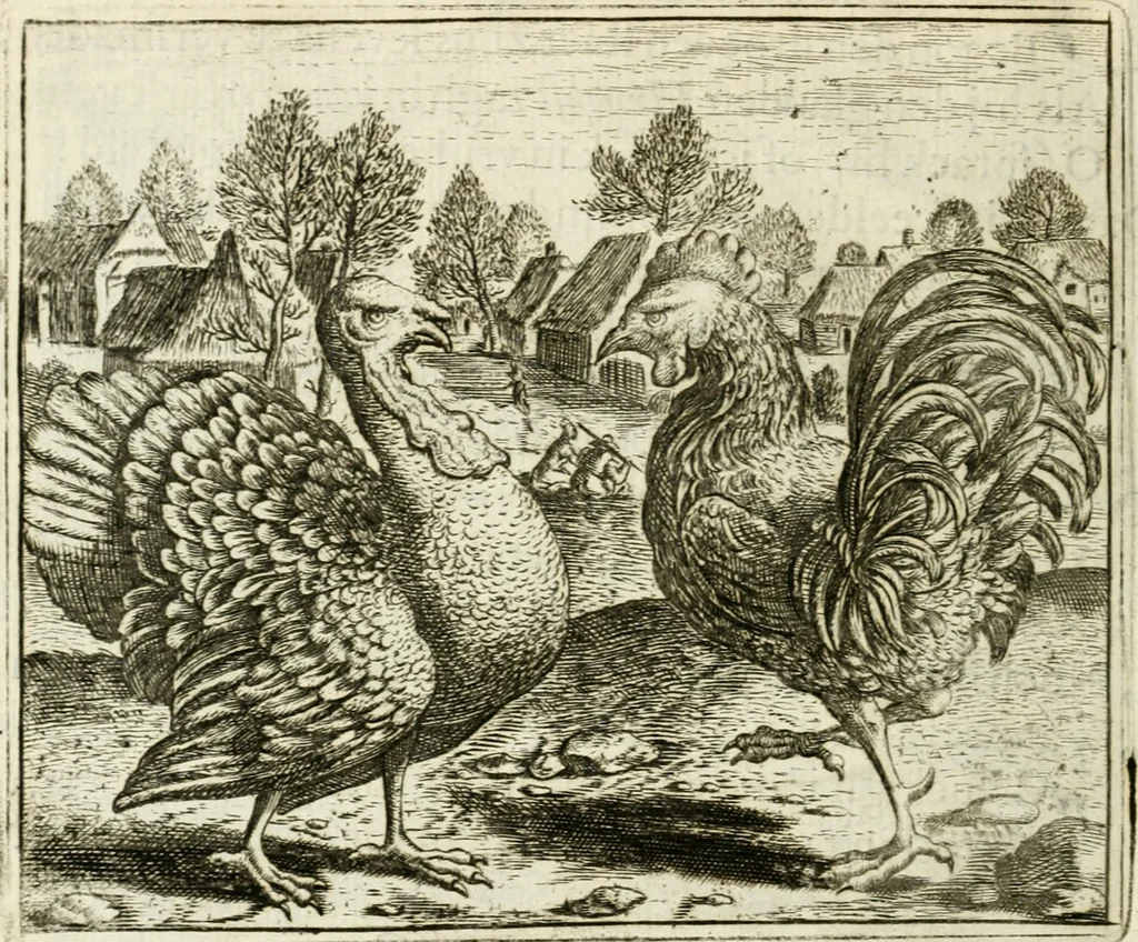 An illustration from Vorstelijcke warande der dieren : waer in de zeden-rijcke philosophie, poëtisch, morael, en historiael, vermakelijck en treffelijck wort voorgestelt : mit exempelen uyt de oude historien, in prose : ende uytleggingen, in rijm verklaert, 1682, leaf 211