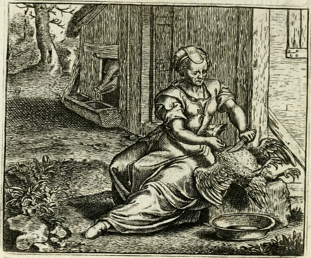 An illustration from Vorstelijcke warande der dieren : waer in de zeden-rijcke philosophie, poëtisch, morael, en historiael, vermakelijck en treffelijck wort voorgestelt : mit exempelen uyt de oude historien, in prose : ende uytleggingen, in rijm verklaert, 1682, leaf 229