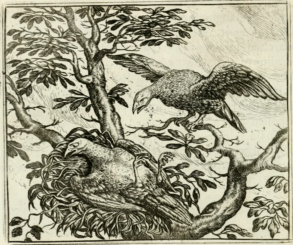 An illustration from Vorstelijcke warande der dieren : waer in de zeden-rijcke philosophie, poëtisch, morael, en historiael, vermakelijck en treffelijck wort voorgestelt : mit exempelen uyt de oude historien, in prose : ende uytleggingen, in rijm verklaert, 1682, leaf 253