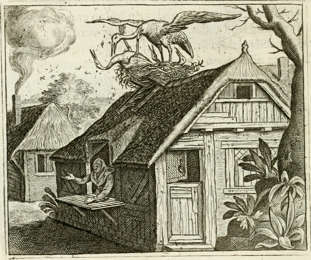 An illustration from Vorstelijcke warande der dieren : waer in de zeden-rijcke philosophie, poëtisch, morael, en historiael, vermakelijck en treffelijck wort voorgestelt : mit exempelen uyt de oude historien, in prose : ende uytleggingen, in rijm verklaert, 1682, leaf 263