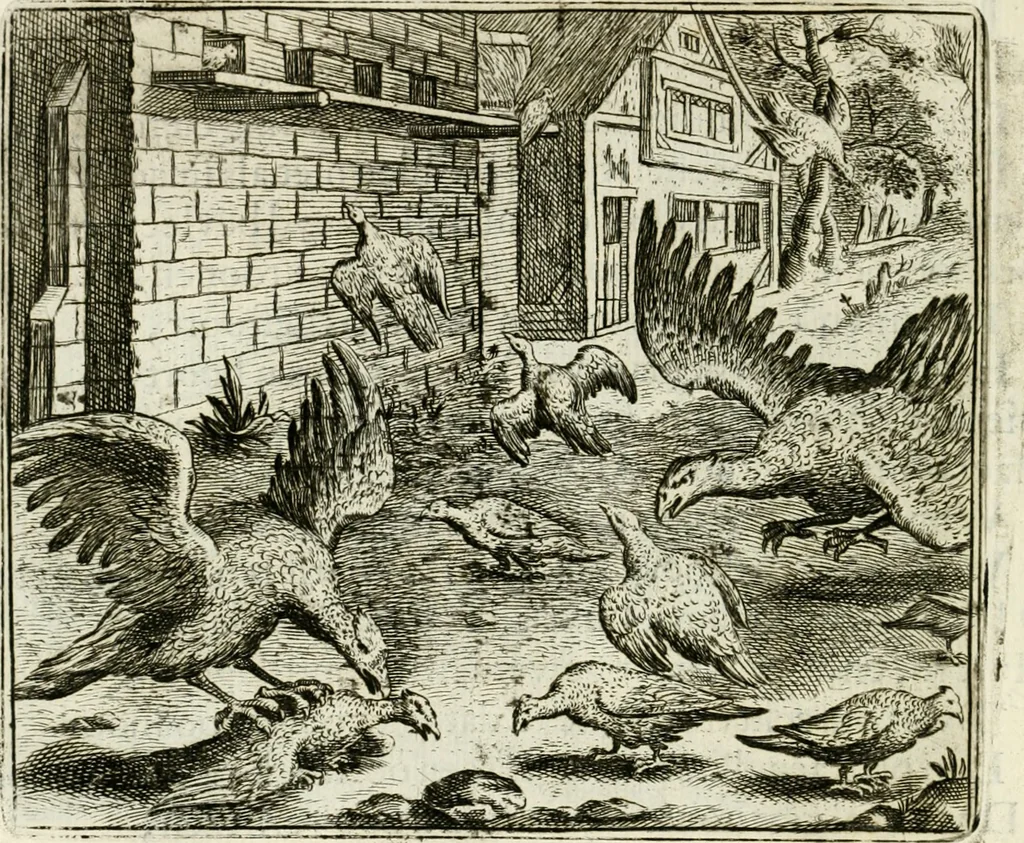 An illustration from Vorstelijcke warande der dieren : waer in de zeden-rijcke philosophie, poëtisch, morael, en historiael, vermakelijck en treffelijck wort voorgestelt : mit exempelen uyt de oude historien, in prose : ende uytleggingen, in rijm verklaert, 1682, leaf 83