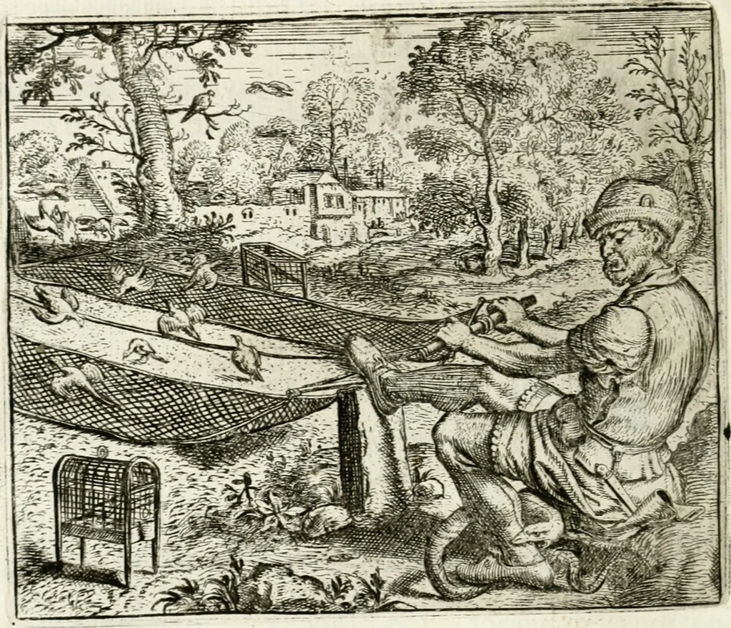 An illustration from Vorstelijcke warande der dieren : waer in de zeden-rijcke philosophie, poëtisch, morael, en historiael, vermakelijck en treffelijck wort voorgestelt : mit exempelen uyt de oude historien, in prose : ende uytleggingen, in rijm verklaert, 1682, leaf 89