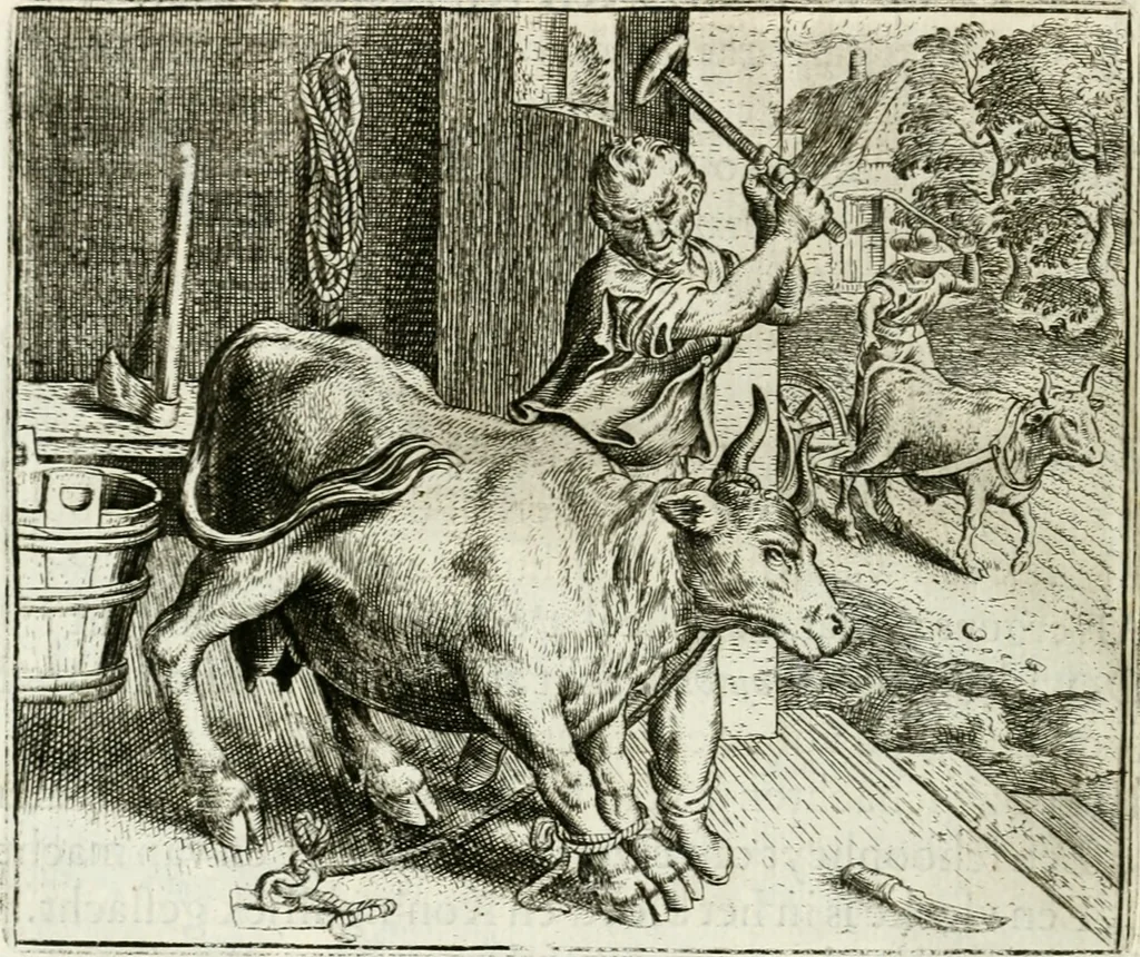 An illustration from Vorstelijcke warande der dieren : waer in de zeden-rijcke philosophie, poëtisch, morael, en historiael, vermakelijck en treffelijck wort voorgestelt : mit exempelen uyt de oude historien, in prose : ende uytleggingen, in rijm verklaert, 1682, leaf 93