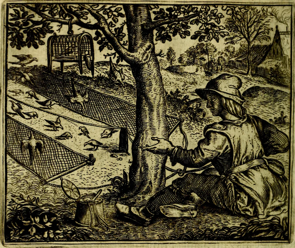 An illustration from Vorstelijcke warande der dieren : waer in de zeden-rijcke philosophie, poëtisch, morael, en historiael, vermakelijck en treffelijck wort voorgestelt : mit exempelen uyt de oude historien, in prose, 1682, leaf 149