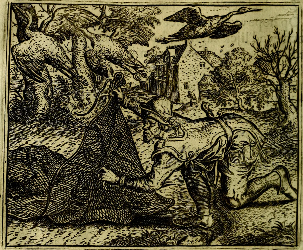 An illustration from Vorstelijcke warande der dieren : waer in de zeden-rijcke philosophie, poëtisch, morael, en historiael, vermakelijck en treffelijck wort voorgestelt : mit exempelen uyt de oude historien, in prose, 1682, leaf 203