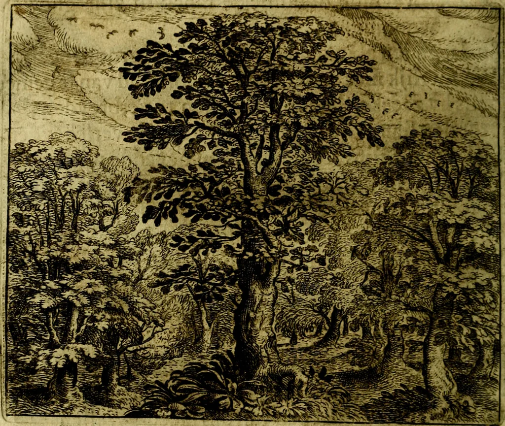 An illustration from Vorstelijcke warande der dieren : waer in de zeden-rijcke philosophie, poëtisch, morael, en historiael, vermakelijck en treffelijck wort voorgestelt : mit exempelen uyt de oude historien, in prose, 1682, leaf 23