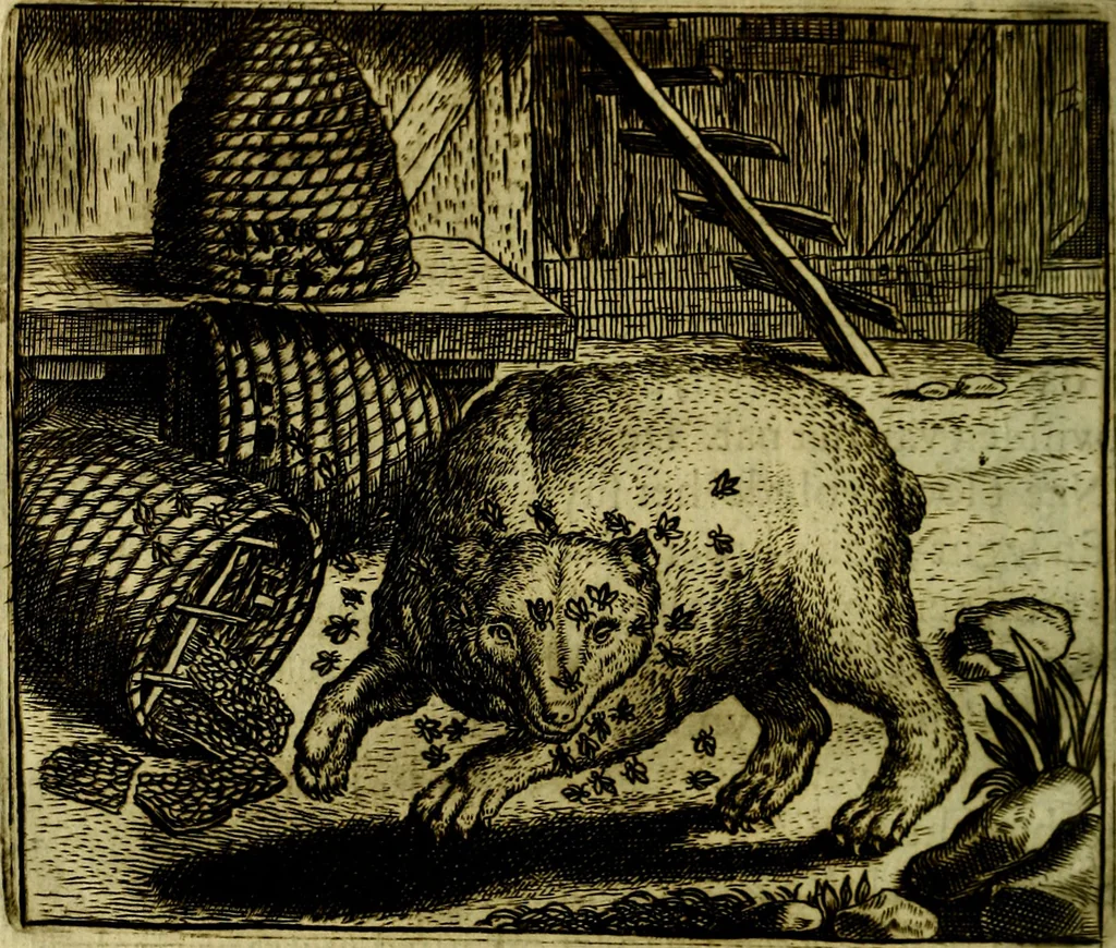 An illustration from Vorstelijcke warande der dieren : waer in de zeden-rijcke philosophie, poëtisch, morael, en historiael, vermakelijck en treffelijck wort voorgestelt : mit exempelen uyt de oude historien, in prose, 1682, leaf 231