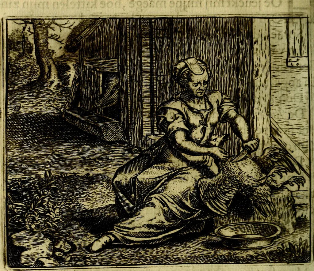 An illustration from Vorstelijcke warande der dieren : waer in de zeden-rijcke philosophie, poëtisch, morael, en historiael, vermakelijck en treffelijck wort voorgestelt : mit exempelen uyt de oude historien, in prose, 1682, leaf 233