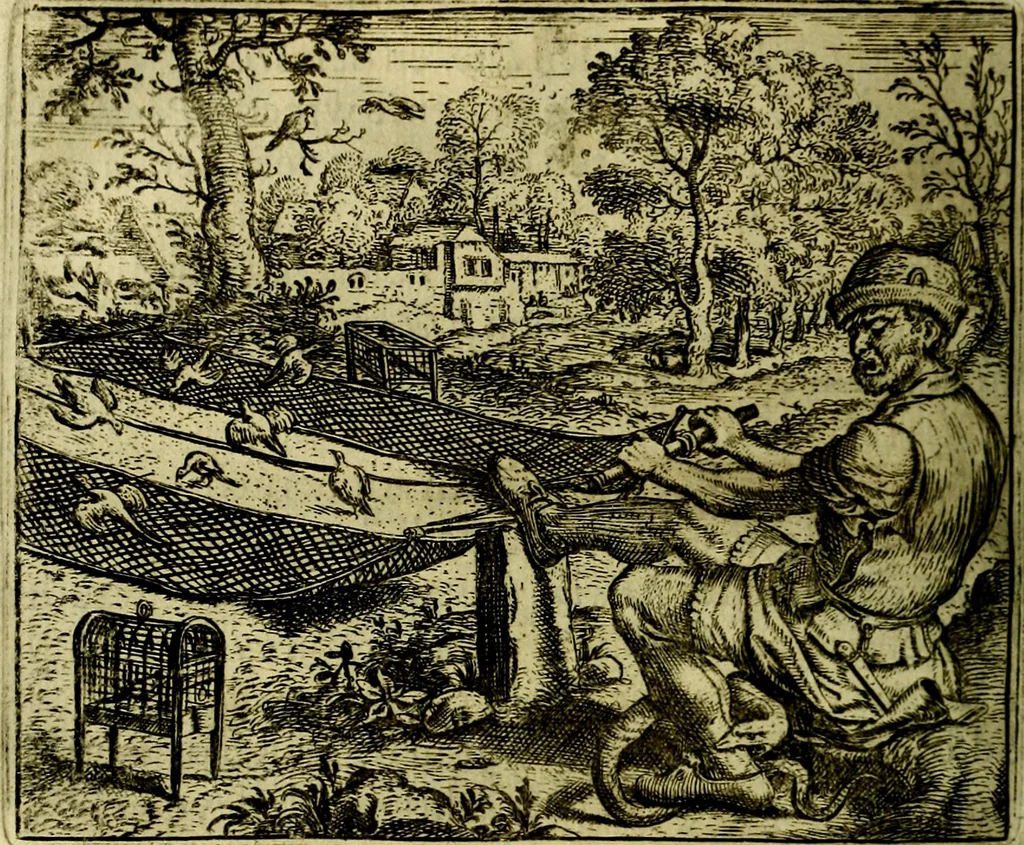 An illustration from Vorstelijcke warande der dieren : waer in de zeden-rijcke philosophie, poëtisch, morael, en historiael, vermakelijck en treffelijck wort voorgestelt : mit exempelen uyt de oude historien, in prose, 1682, leaf 93