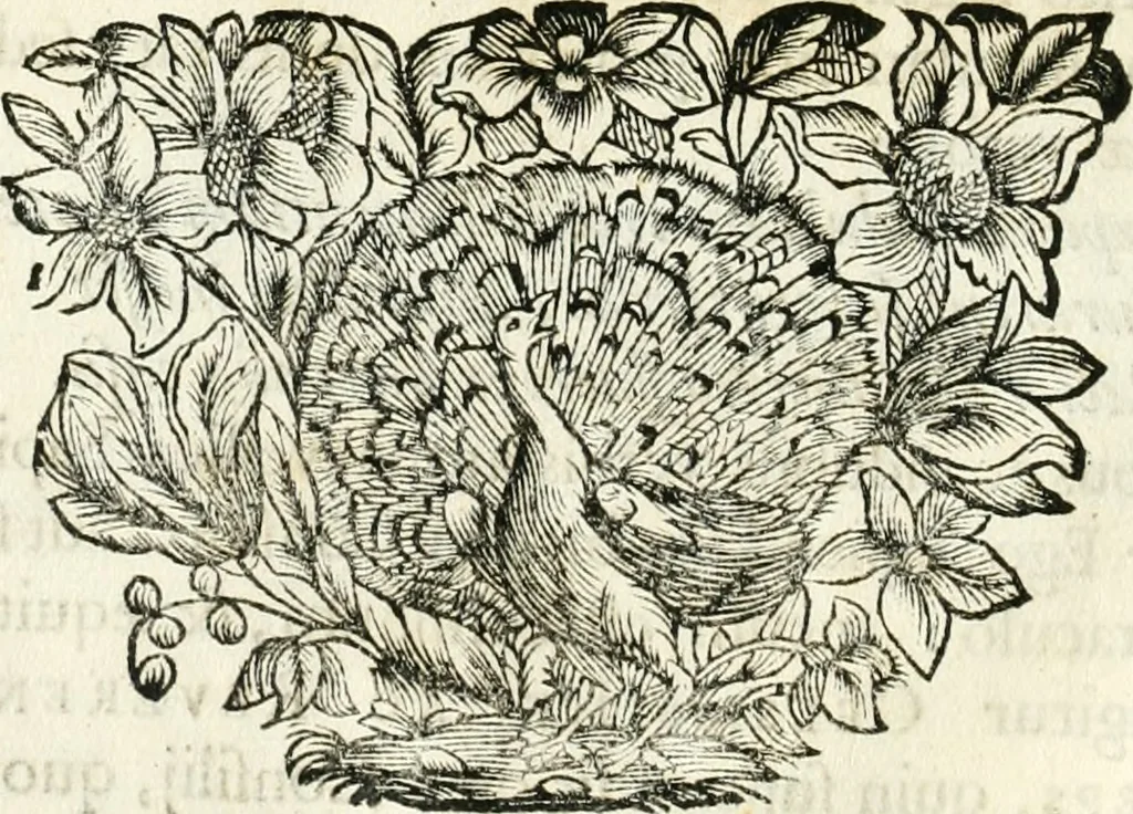 An illustration from Votum unanime Parnassi Salisburgensis deorum judicio et assensu approbatum, dum in celsiss.mum ac rever.mum S.R.I. Principem, Archiepiscopum Salisburgensem &c. &c. electus esset Joannes Ernestus è S.R.I. comitibus de Thun, Episcopus Seccoviensis, 1687, leaf 21