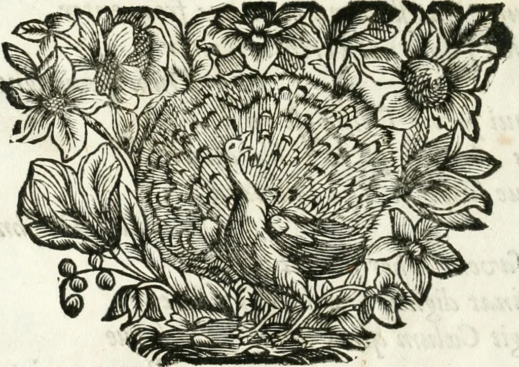 An illustration from Votum unanime Parnassi Salisburgensis deorum judicio et assensu approbatum, dum in celsiss.mum ac rever.mum S.R.I. Principem, Archiepiscopum Salisburgensem &c. &c. electus esset Joannes Ernestus è S.R.I. comitibus de Thun, Episcopus Seccoviensis, 1687, leaf 33
