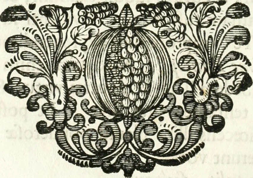 An illustration from Votum unanime Parnassi Salisburgensis deorum judicio et assensu approbatum, dum in celsiss.mum ac rever.mum S.R.I. Principem, Archiepiscopum Salisburgensem &c. &c. electus esset Joannes Ernestus è S.R.I. comitibus de Thun, Episcopus Seccoviensis, 1687, leaf 37