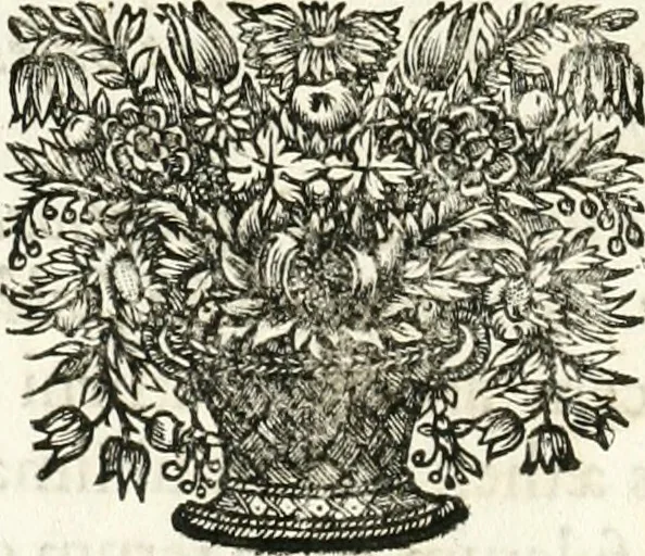 An illustration from Votum unanime Parnassi Salisburgensis deorum judicio et assensu approbatum, dum in celsiss.mum ac rever.mum S.R.I. Principem, Archiepiscopum Salisburgensem &c. &c. electus esset Joannes Ernestus è S.R.I. comitibus de Thun, Episcopus Seccoviensis, 1687, leaf 43