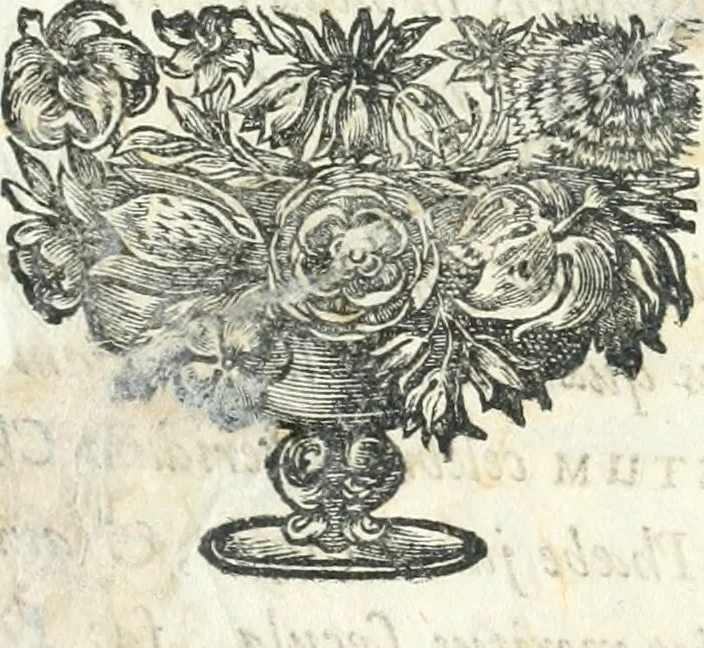 An illustration from Votum unanime Parnassi Salisburgensis deorum judicio et assensu approbatum, dum in celsiss.mum ac rever.mum S.R.I. Principem, Archiepiscopum Salisburgensem &c. &c. electus esset Joannes Ernestus è S.R.I. comitibus de Thun, Episcopus Seccoviensis, 1687, leaf 46