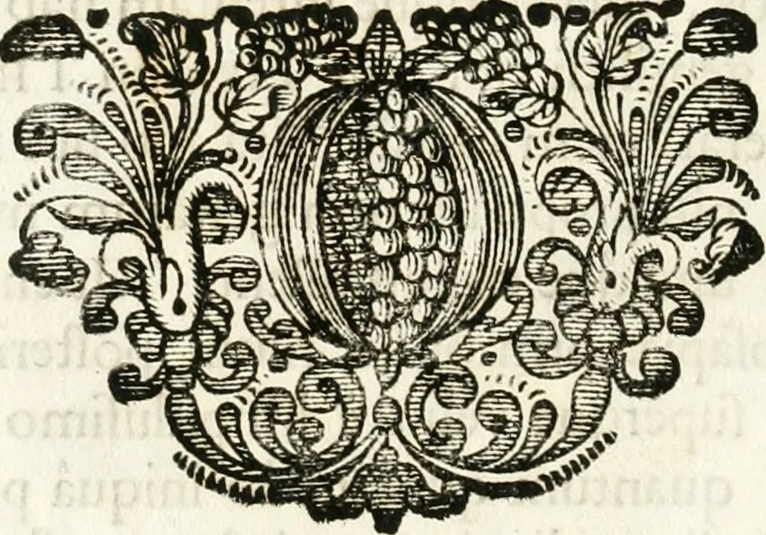 An illustration from Votum unanime Parnassi Salisburgensis deorum judicio et assensu approbatum, dum in celsiss.mum ac rever.mum S.R.I. Principem, Archiepiscopum Salisburgensem &c. &c. electus esset Joannes Ernestus è S.R.I. comitibus de Thun, Episcopus Seccoviensis, 1687, leaf 63