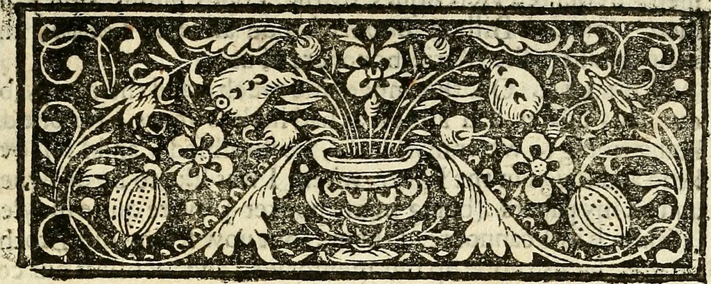 An illustration from Vox Borealis, or The northern discoverie:, 1641, leaf 10