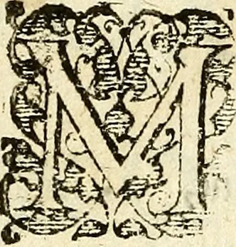 An illustration from Vox Borealis, or The northern discoverie:, 1641, leaf 8