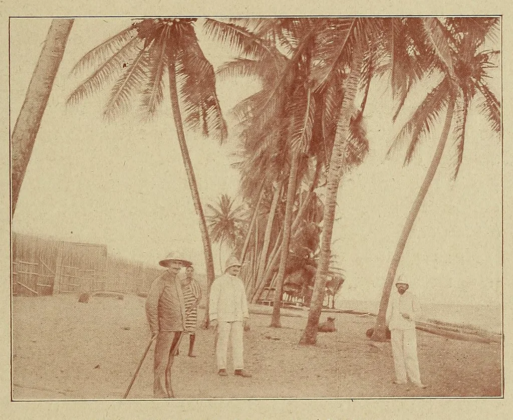 An illustration from Voyage au Dahomey et à la Côte d'Ivoire, 1903, leaf 195