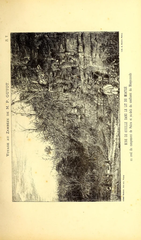 An illustration from Voyage au Zambése, 1895, leaf 323