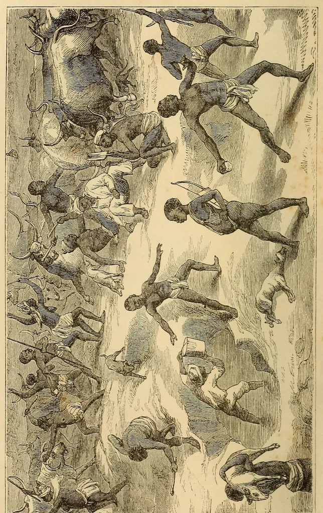 An illustration from Voyage dans le Sud-ouest de l'Afrique; ou, Récits d'explorations faites en 1861 et 1862 depuis la baie Valsich jusqu'aux chutes Victoria, 1880, leaf 100