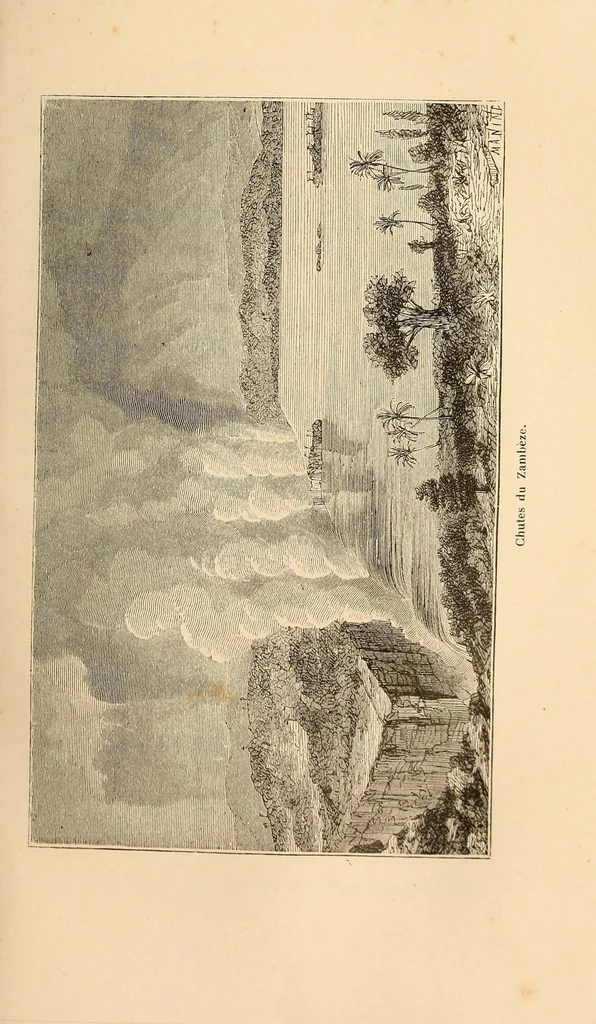 An illustration from Voyage dans le Sud-ouest de l'Afrique; ou, Récits d'explorations faites en 1861 et 1862 depuis la baie Valsich jusqu'aux chutes Victoria, 1880, leaf 217