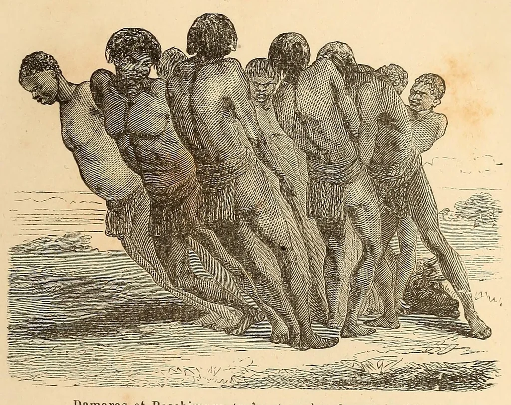 An illustration from Voyage dans le Sud-ouest de l'Afrique; ou, Récits d'explorations faites en 1861 et 1862 depuis la baie Valsich jusqu'aux chutes Victoria, 1880, leaf 81