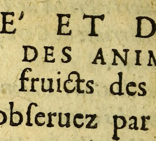 An illustration from Voyage de François Pyrard, de Laual. : Contenant sa navigation aux Indes orientales, Maldiues, Moluques, Bresil: les diuers accidens, aduentures & dangers qui luy sont arriuez en ce voyage, tant en allant & retourant, que pendant son sejour de dix ans en ce païs là. Avec la description des pays, moeurs, loix, façons de faire, police & gouuernement; du trafic & commerce qui s'y fait; des animaux, arbres, fruicts, & autres singularitez. Divisé en deux parties, 1619, leaf 540