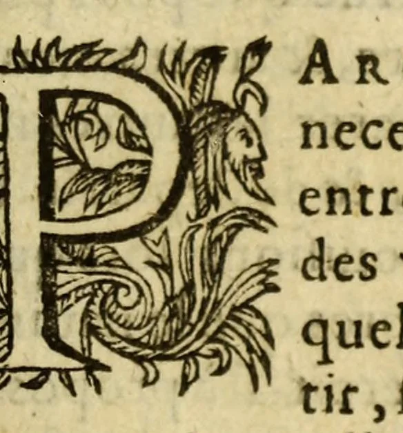 An illustration from Voyage de François Pyrard, de Laual. : Contenant sa navigation aux Indes orientales, Maldiues, Moluques, Bresil: les diuers accidens, aduentures & dangers qui luy sont arriuez en ce voyage, tant en allant & retourant, que pendant son sejour de dix ans en ce païs là. Avec la description des pays, moeurs, loix, façons de faire, police & gouuernement; du trafic & commerce qui s'y fait; des animaux, arbres, fruicts, & autres singularitez. Divisé en deux parties, 1619, leaf 959