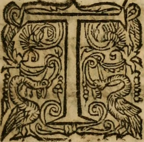 An illustration from Voyage de la France eqvinoxiale en l'isle de Cayenne : entrepris par les François en l'année M.DC.LII. Diuisé en trois livres. Le premier, contient l'etablissement de la colonie. Le second, ce qui s'est passé pendant quinze mois que l'on a demeuré dans la païs. Le troisiesme, traitte du temperament du païs, de la fertilité de sa terre, & des murs & façons de faire des sauuages de cette contrée. Avec vn dictionnaire de la langue du mesme païs., 1664, leaf 14