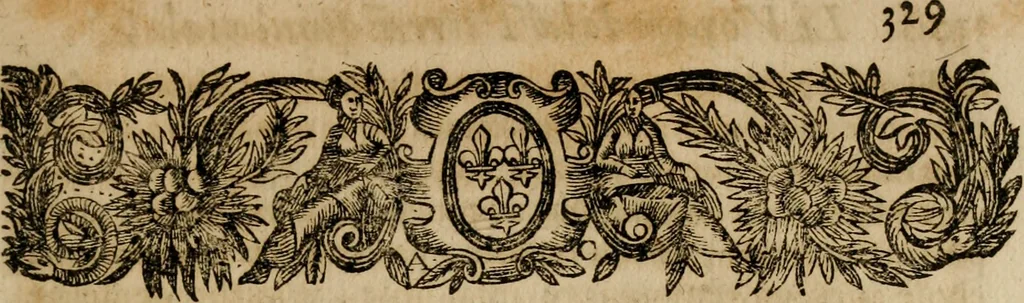 An illustration from Voyage de la France eqvinoxiale en l'isle de Cayenne : entrepris par les François en l'année M.DC.LII. Diuisé en trois livres. Le premier, contient l'etablissement de la colonie. Le second, ce qui s'est passé pendant quinze mois que l'on a demeuré dans la païs. Le troisiesme, traitte du temperament du païs, de la fertilité de sa terre, & des murs & façons de faire des sauuages de cette contrée. Avec vn dictionnaire de la langue du mesme païs., 1664, leaf 358
