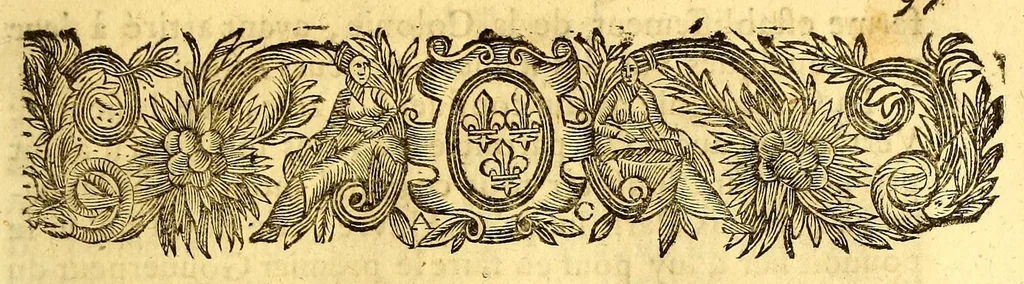 An illustration from Voyage de la France equinoxiale en l'isle de Cayenne, entrepris par les François en l'année M. DC. LII. : Diuisé en trois livres. Le premier, contient l'établissement de la colonie, son embarquement, & sa route iusques à son arriuée en l'isle de Cayenne. Le second, ce qui s'est passé pendant quinze mois que l'on a demeuré dans les païs. Le troisiesme, traitte du temperament du païs, de la fertilité de sa terre, & des murs & façons de faire des sauuages de cette contrée. Avec un dictionnaire de la langue du mesme païs. / Par Me Antoine Biet, ., 1664, leaf 127