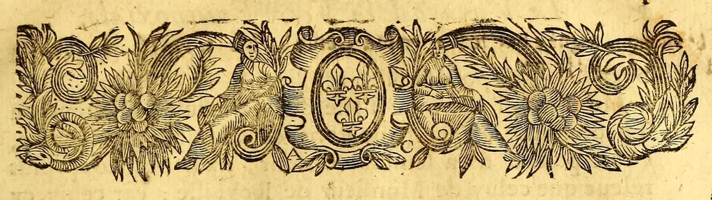 An illustration from Voyage de la France equinoxiale en l'isle de Cayenne, entrepris par les François en l'année M. DC. LII. : Diuisé en trois livres. Le premier, contient l'établissement de la colonie, son embarquement, & sa route iusques à son arriuée en l'isle de Cayenne. Le second, ce qui s'est passé pendant quinze mois que l'on a demeuré dans les païs. Le troisiesme, traitte du temperament du païs, de la fertilité de sa terre, & des murs & façons de faire des sauuages de cette contrée. Avec un dictionnaire de la langue du mesme païs. / Par Me Antoine Biet, ., 1664, leaf 31