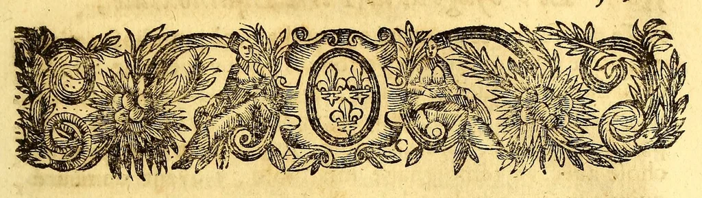 An illustration from Voyage de la France equinoxiale en l'isle de Cayenne, entrepris par les François en l'année M. DC. LII. : Diuisé en trois livres. Le premier, contient l'établissement de la colonie, son embarquement, & sa route iusques à son arriuée en l'isle de Cayenne. Le second, ce qui s'est passé pendant quinze mois que l'on a demeuré dans les païs. Le troisiesme, traitte du temperament du païs, de la fertilité de sa terre, & des murs & façons de faire des sauuages de cette contrée. Avec un dictionnaire de la langue du mesme païs. / Par Me Antoine Biet, ., 1664, leaf 359