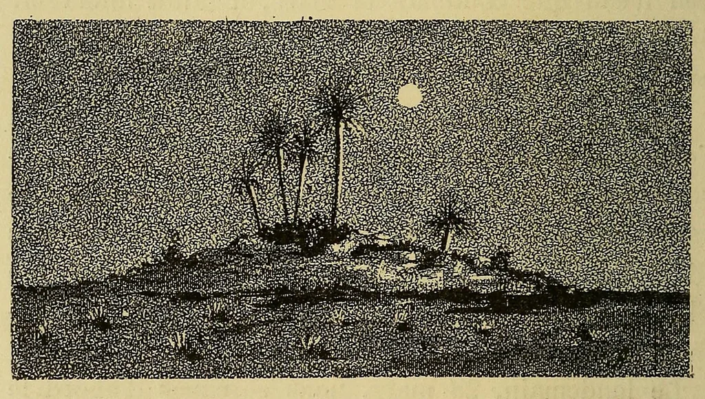 An illustration from Voyage de la mission Flatters au pays des Touareg Azdjers, 1883, leaf 120