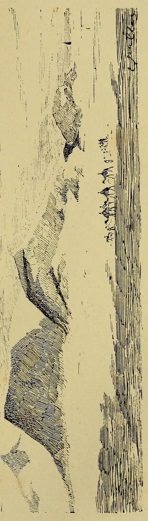 An illustration from Voyage de la mission Flatters au pays des Touareg Azdjers, 1883, leaf 137
