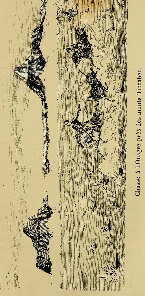 An illustration from Voyage de la mission Flatters au pays des Touareg Azdjers, 1883, leaf 149