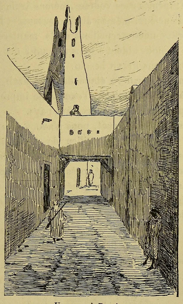 An illustration from Voyage de la mission Flatters au pays des Touareg Azdjers, 1883, leaf 219