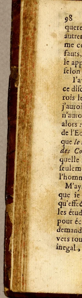An illustration from Voyage de la terre australe par Mr. Sadeur. : Avec ses avantures dans la découverte de ce pays jusques icy inconnu & les particularités du sejour qu'il y fit pendant trente-cinq ans & son retour. Contenant les coutumes et les moeurs des Australiens, leurs religions, leurs exercices, leurs études, leurs guerres, les animaux particuliers de ce pays & toutes les raretés curieuses qui s'y trouvent, 1695, leaf 120