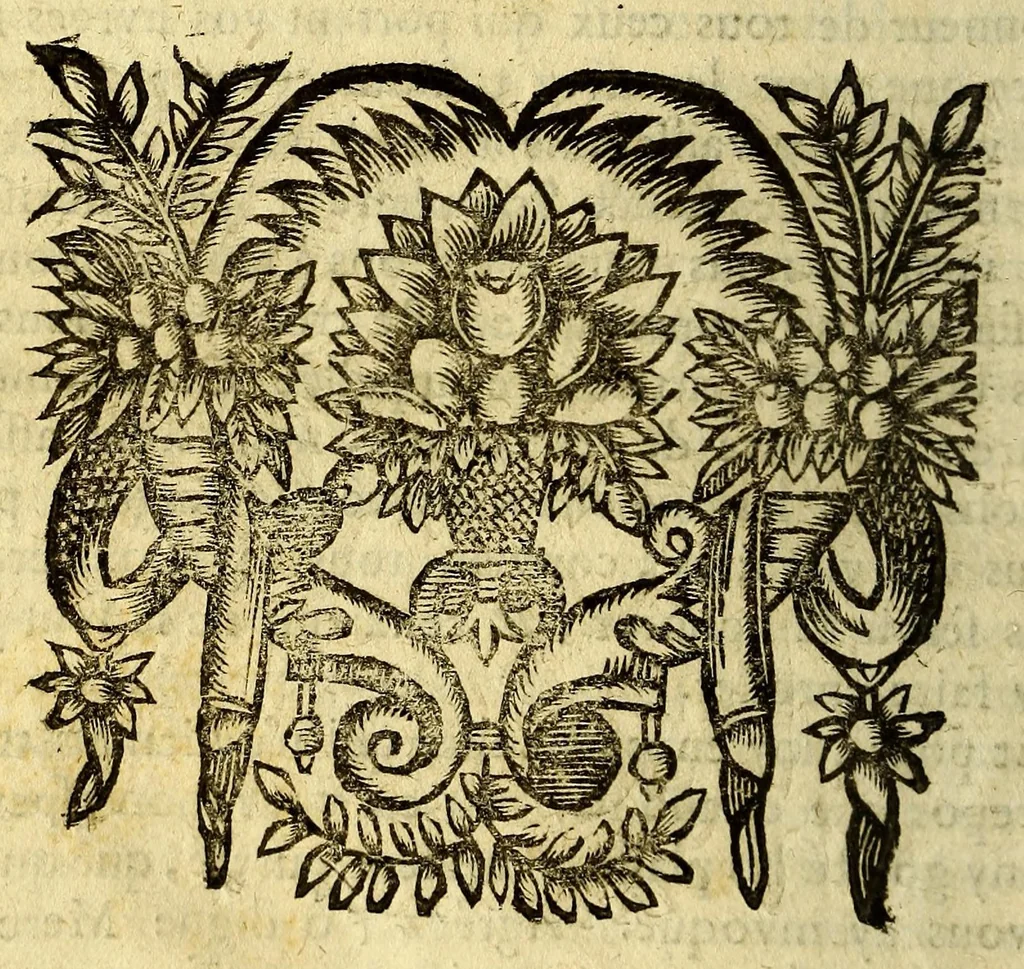 An illustration from Voyage des isles Camercanes. En l'Amerique. : Qui font partie des Indes occidentales. Et une relation diversifiee de plusieurs pensées pieuses, & d'agreables remarques tant de toute l'Amerique que des autres païs. Avec l'établissement des RR. PP. Carmes Reformez de la province de Touraine esdites isles: Et un discours de leur ordre., 1652, leaf 440