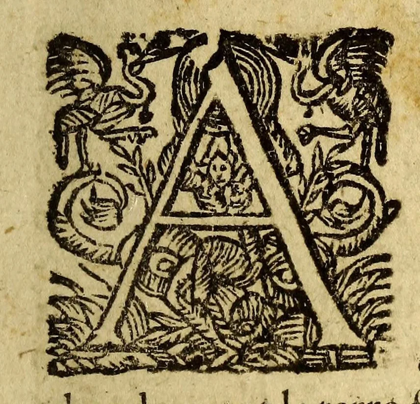 An illustration from Voyage des isles Camercanes. En l'Amerique. : Qui font partie des Indes occidentales. Et une relation diversifiee de plusieurs pensées pieuses, & d'agreables remarques tant de toute l'Amerique que des autres païs. Avec l'établissement des RR. PP. Carmes Reformez de la province de Touraine esdites isles: Et un discours de leur ordre., 1652, leaf 61