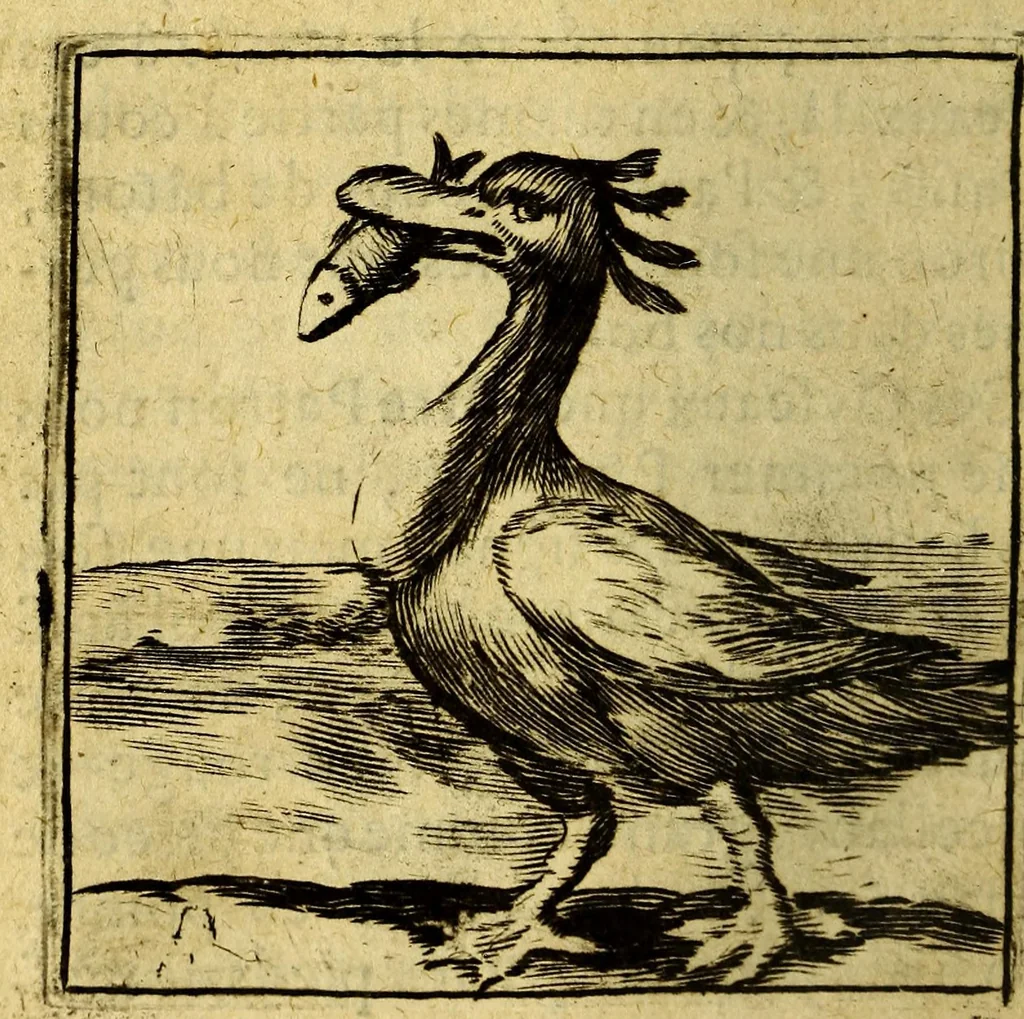 An illustration from Voyage des pais septentrionaux : Dans lequel se void [sic] les moeurs, maniere de vivre, & superstitions des Norweguiens, Lappons, Kiloppes, Borandiens, Syberiens, Samojedes, Zembliens, & Islandois, enrichi de plusieurs figures., 1671, leaf 168