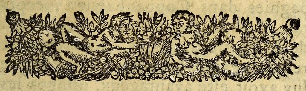 An illustration from Voyage des pais septentrionaux : Dans lequel se void [sic] les moeurs, maniere de vivre, & superstitions des Norweguiens, Lappons, Kiloppes, Borandiens, Syberiens, Samojedes, Zembliens, & Islandois, enrichi de plusieurs figures., 1671, leaf 21