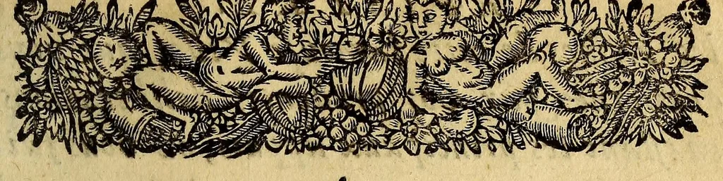 An illustration from Voyage des pais septentrionaux : Dans lequel se void [sic] les moeurs, maniere de vivre, & superstitions des Norweguiens, Lappons, Kiloppes, Borandiens, Syberiens, Samojedes, Zembliens, & Islandois, enrichi de plusieurs figures., 1671, leaf 9