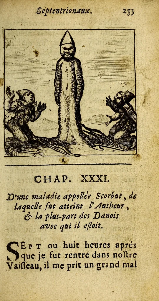 An illustration from Voyage des pays septentrionaux. : Dans lequel se void [sic] les moeurs, maniere de vivre, & superstitions des Norweguiens, Lappons, Kiloppes, Borandiens, Syberiens, Samojedes, Zembliens, & Islandois., 1676, leaf 269