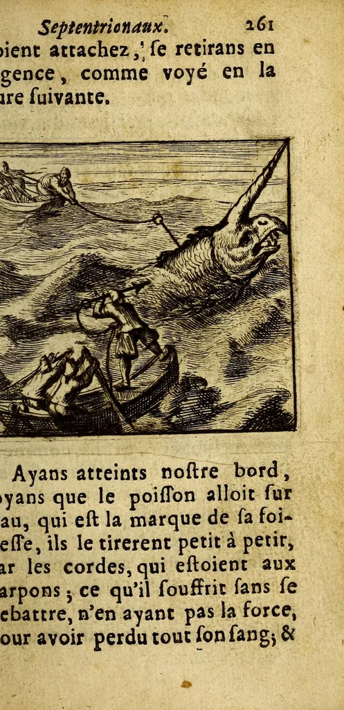 An illustration from Voyage des pays septentrionaux. : Dans lequel se void [sic] les moeurs, maniere de vivre, & superstitions des Norweguiens, Lappons, Kiloppes, Borandiens, Syberiens, Samojedes, Zembliens, & Islandois., 1676, leaf 277