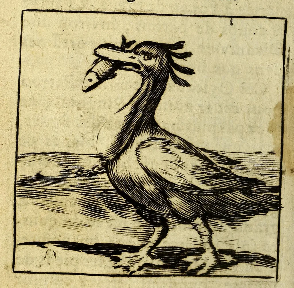 An illustration from Voyage des pays septentrionaux. : Dans lequel se void [sic] les moeurs, maniere de vivre, & superstitions des Norweguiens, Lappons, Kiloppes, Borandiens, Syberiens, Samojedes, Zembliens, & Islandois., 1676, leaf 286