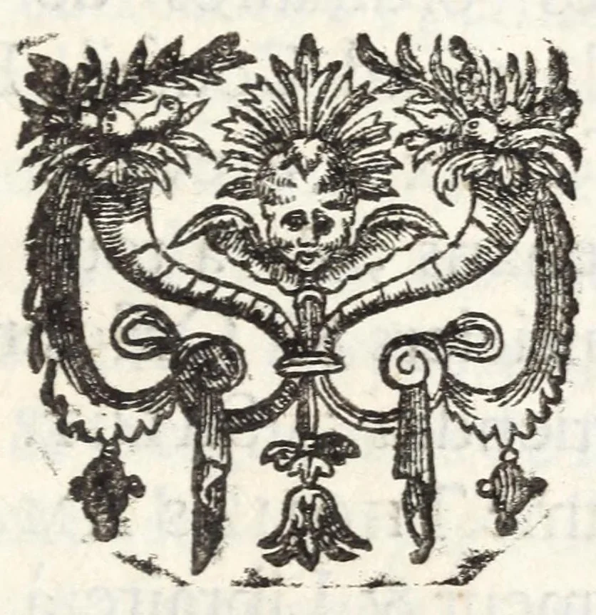 An illustration from Voyage d'Italie curieux et nouveau : enrichi de deux listes, l'une de tous les curieux, & de toutes les principales curiositez de Rome, & l'autre de la pluspart des sçavans, curieux, & ouvriers excellens de toute d'Italie à present vivans, 1681, leaf 355