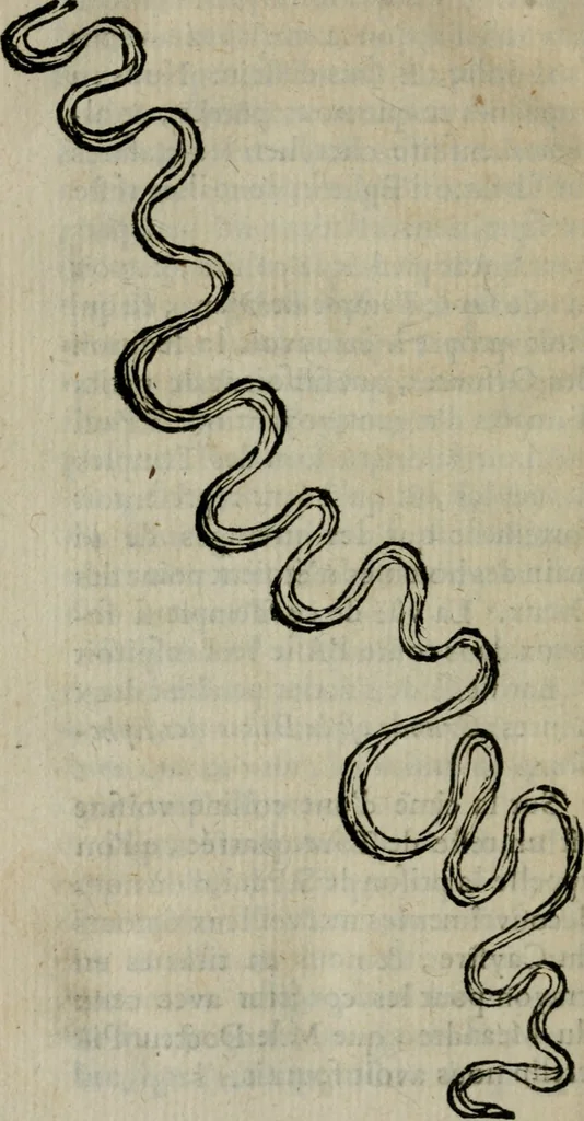 An illustration from Voyage d'Italie, de Dalmatie, de Grece, et du Levant : fait és années 1675 & 1676, 1678, leaf 377